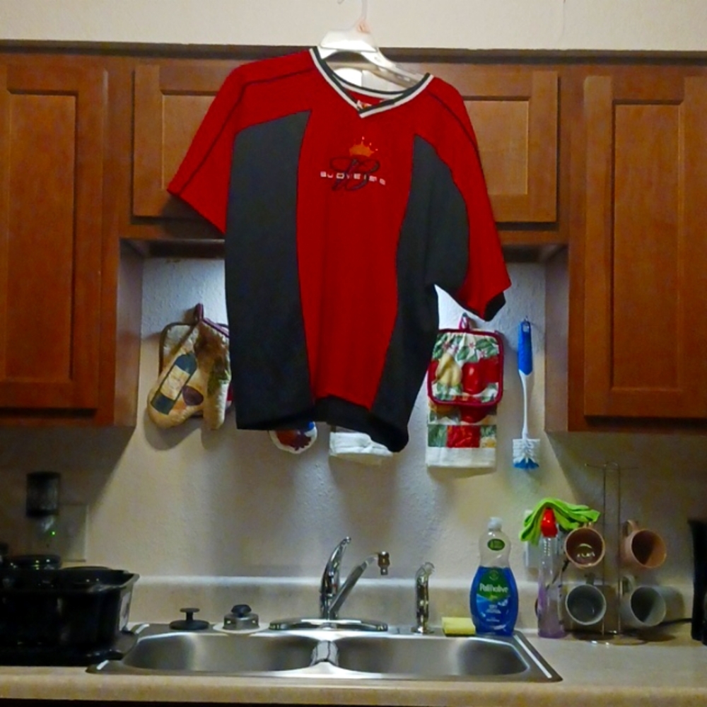Dalhart Jr number 8 Budweiser shirt